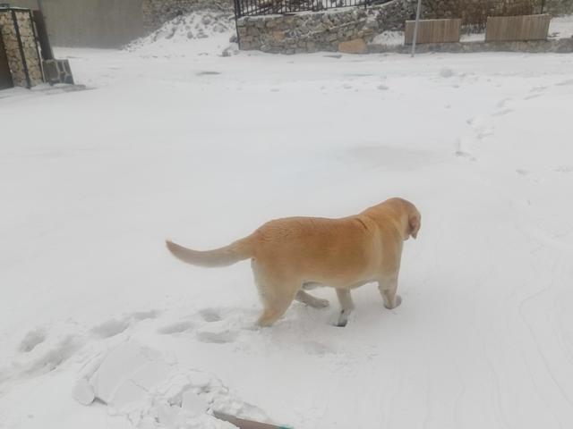 北京初雪 高海拔山区迎来薄雪