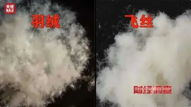 千元羽绒服拆开发现全是飞丝 伪劣产品引发热议